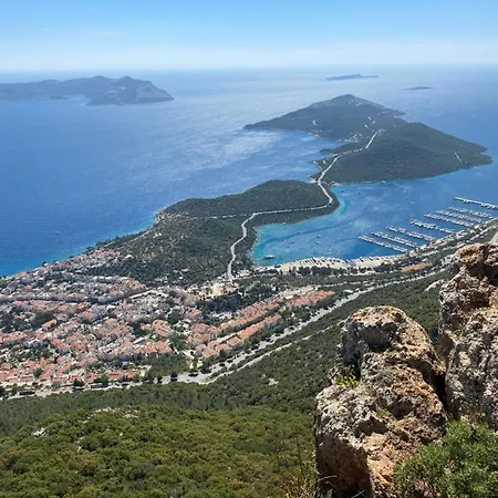 Centre -the Rush Apart-1 卡斯