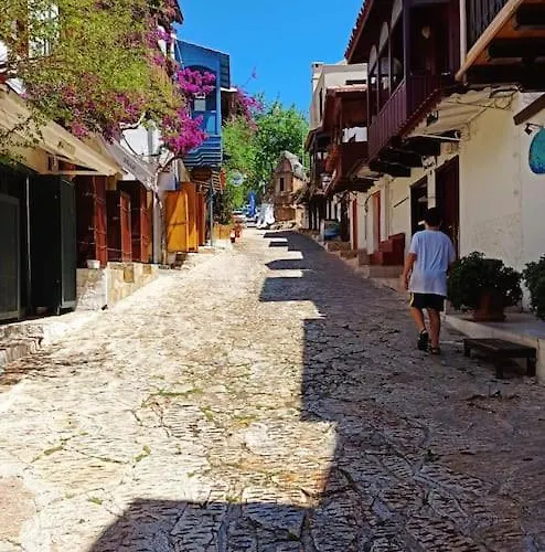 Centre -the Rush Apart-1 Apartment *